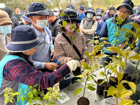 樹開花|臺灣原生樹木推廣及媒合平臺